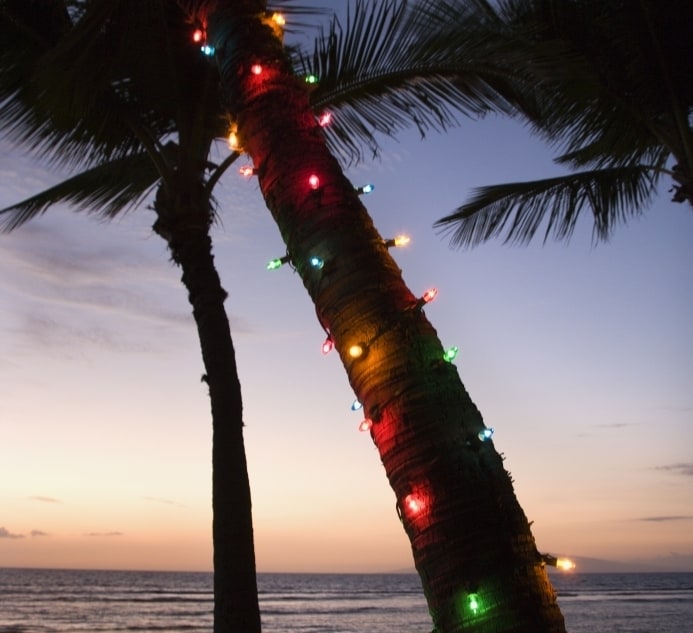 Las tradiciones navideñas latinas - Easy Español