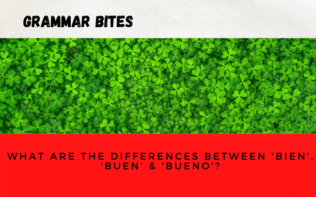¿Cuáles son las diferencias entre 'bien', 'buen' & 'bueno'? - Easy Español