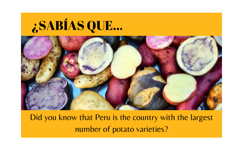¿Sabías que Perú tiene la mayor variedad de patatas? - Easy Español
