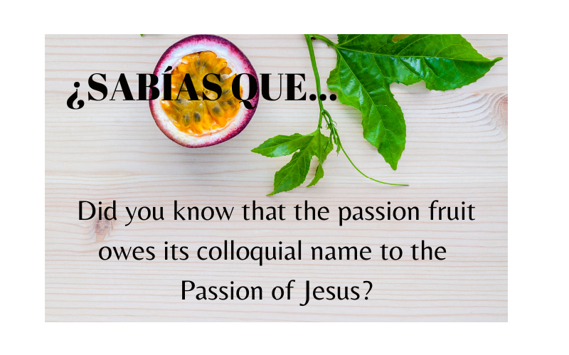 ¿Sabías que el nombre de la fruta de la pasión se debe a la Pasión de Cristo? - Easy Español