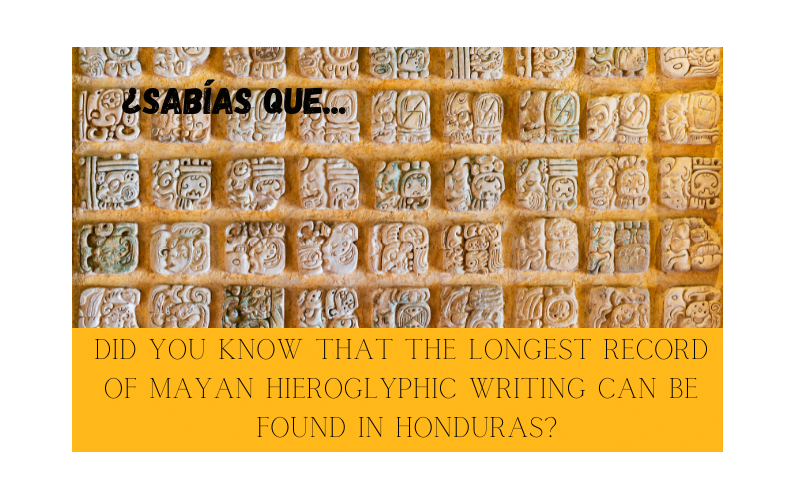 ¿Sabías que el jeroglífico maya más extenso se encuentra en Honduras? - Easy Español