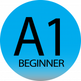 A1 BASIC A1 BASIC
