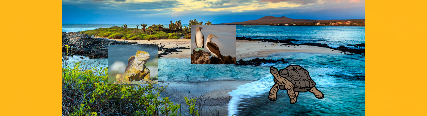 Virtual Tour: Galápagos Island - Easy Español