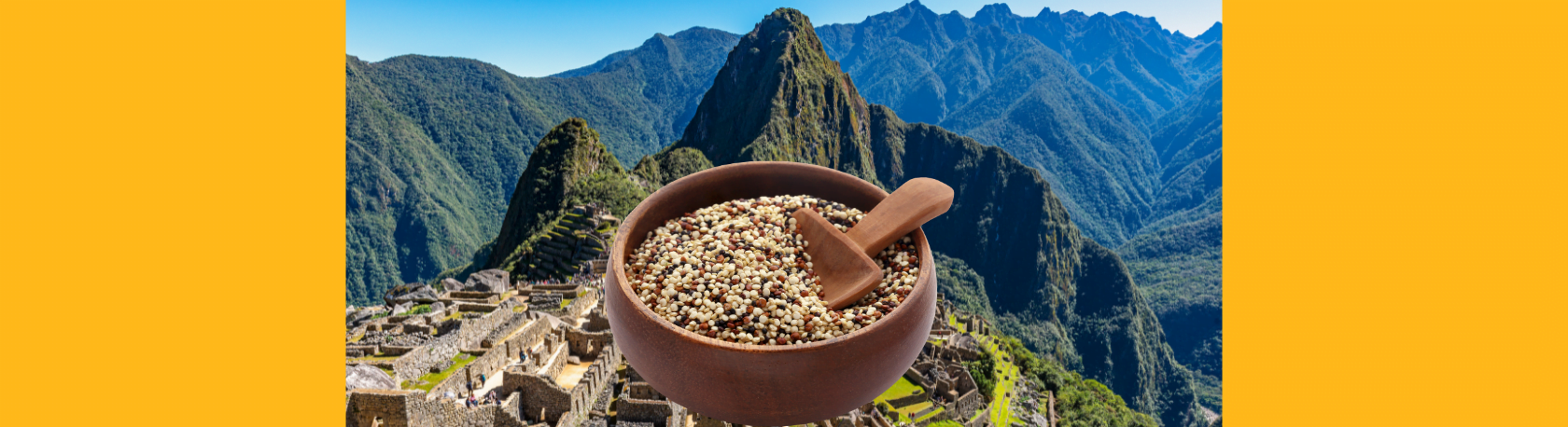 ¿Sabías que la quinua se conoce también como el ‘grano madre’ de los incas?
